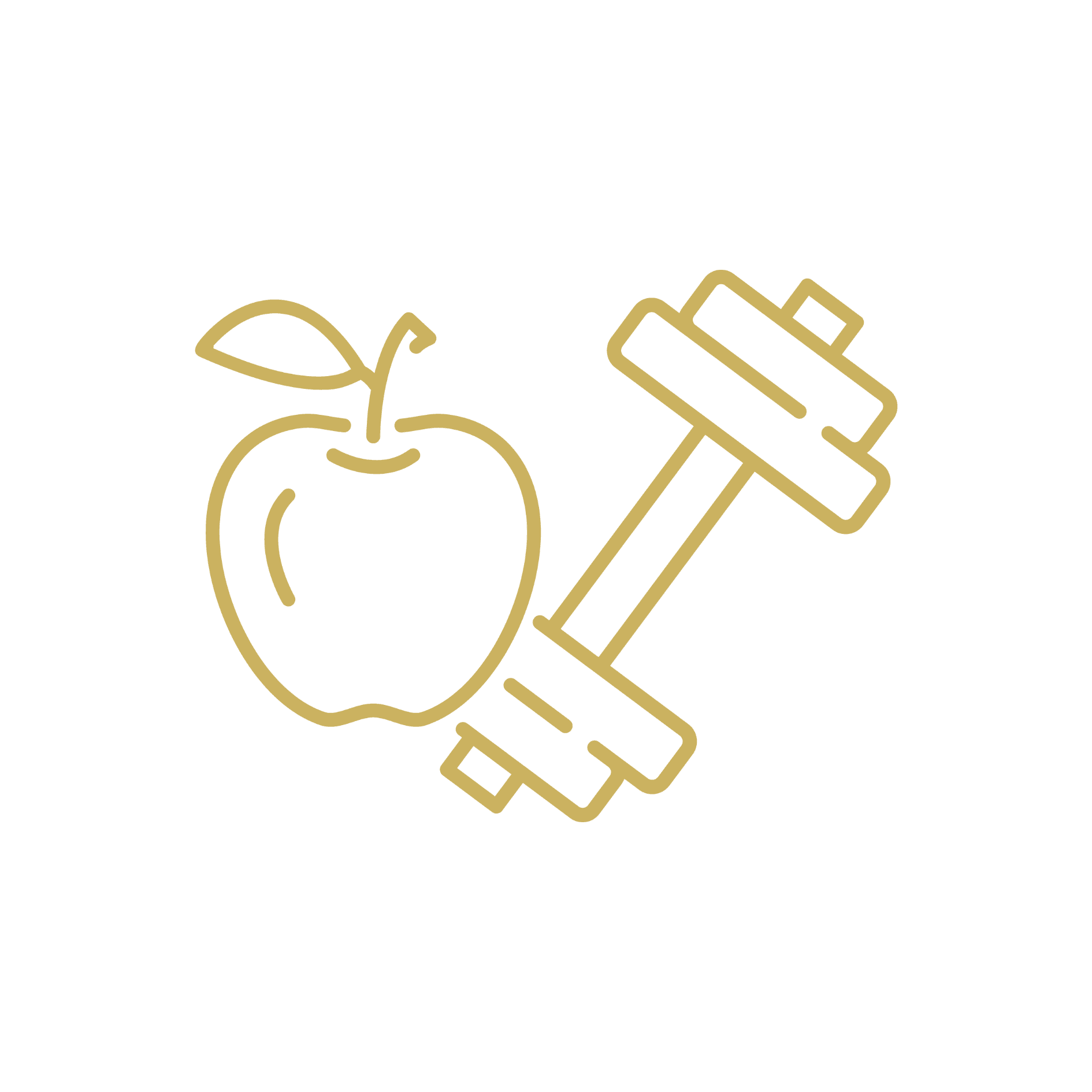 Yellow outline of an apple and dumbbell on a teal background.