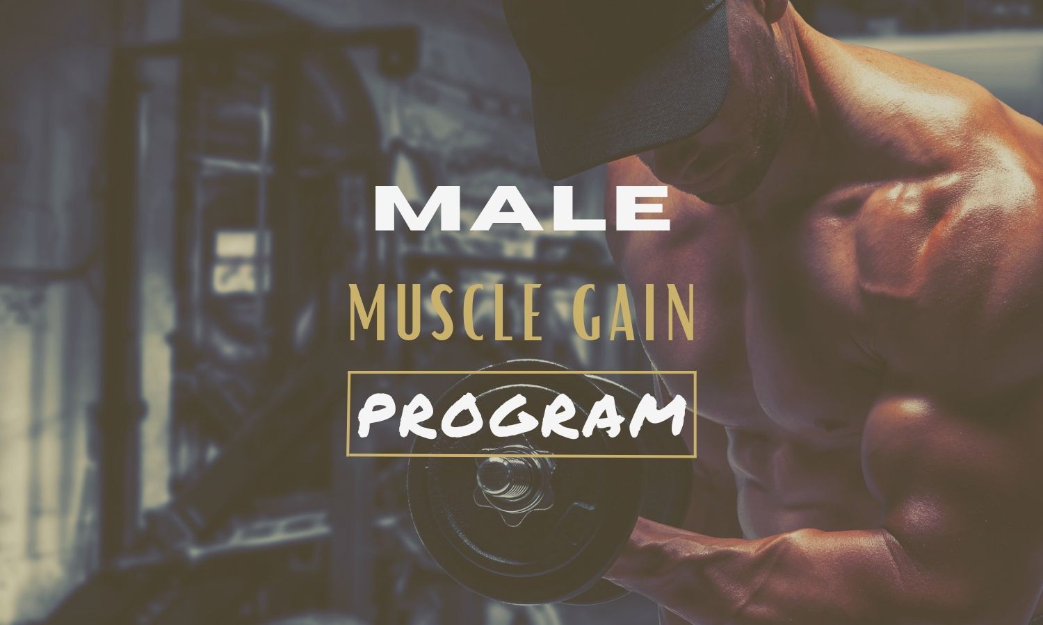 Male Muscle Gain 12 Weeks